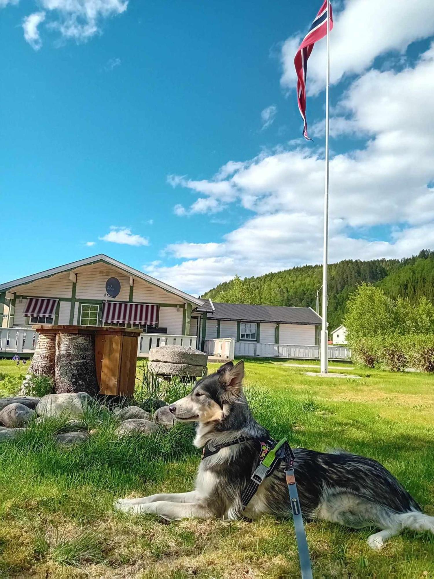 Nordnes Og Holiday park